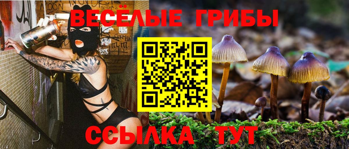 Электрогорск  наркотики  Вход с VPN  Галлюциногенные грибы ЛСД 
