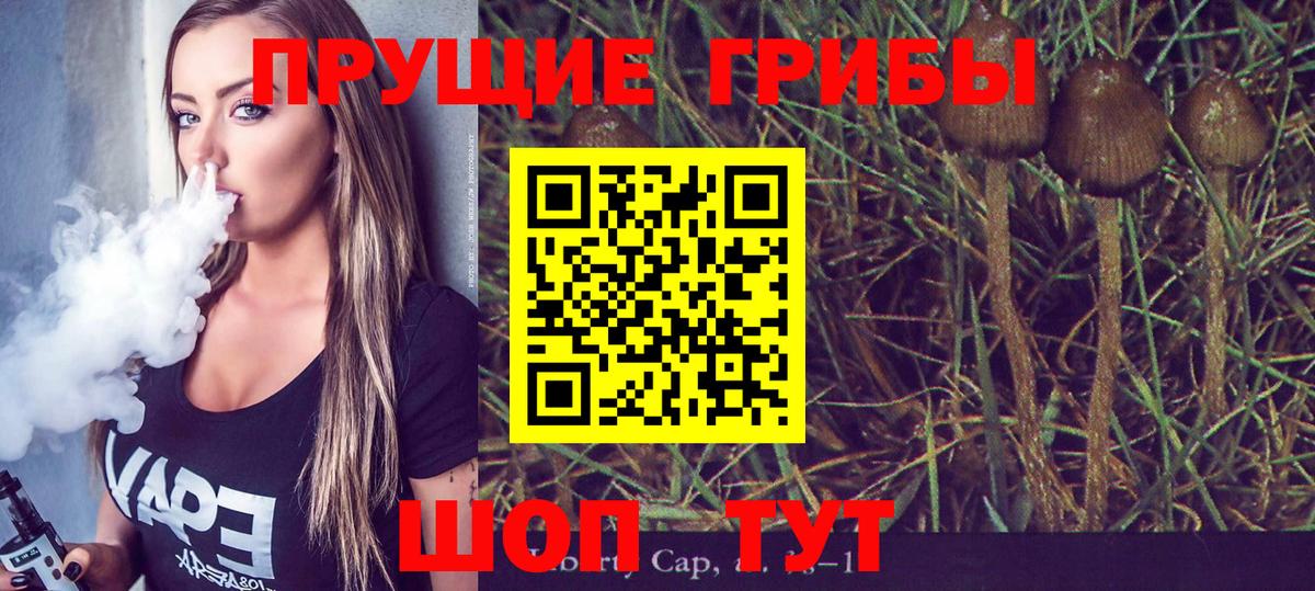 Галлюциногенные грибы Psilocybe Электрогорск